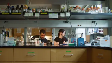 Students at work in the Thines Lab on campus.