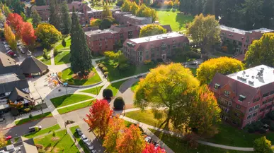 Fall leaves on campus as seen from above