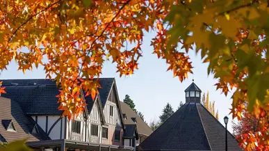 red leaves with Wheelock Student Center in the background.