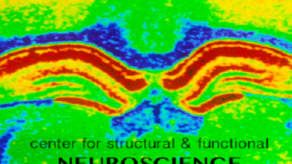 Center for Structural & Functional Neuroscience banner