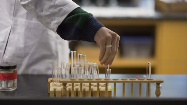 A student in a white lab coat pulls a test tube from a row of test tubes