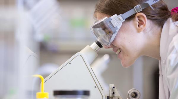 A student with safety goggles on looks into a microscope