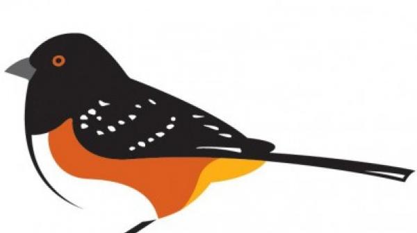 An illustration of a bird