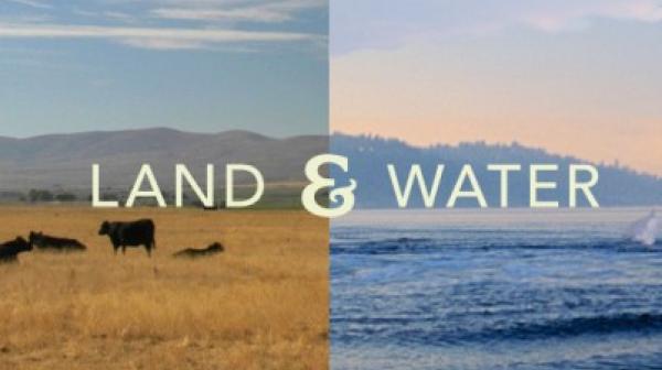 land and water