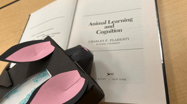 A tissue box decorated as a bat sitting on a table while reading "Animal Learning and Cognition"