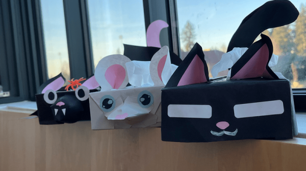 Three tissue boxes decorated as a cat, a rat, and a bat sitting in front of a window