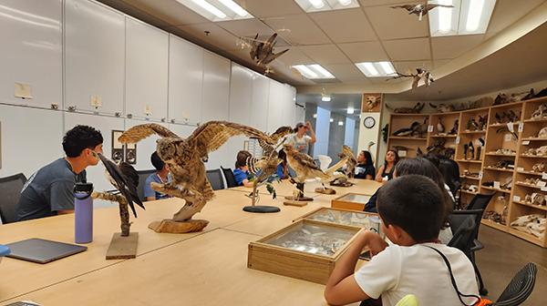 Students visiting the Natural History Museum