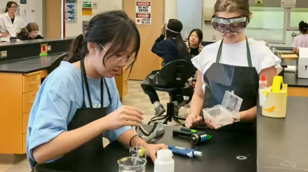 Hands-on Projects