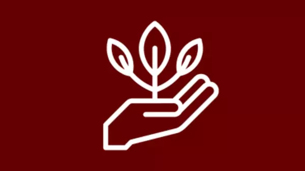 cupped hand with three leaves growing out of it