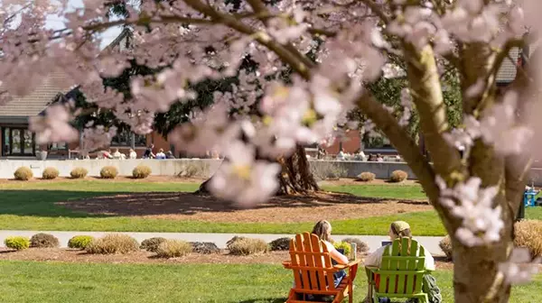 Spring blossoms and sunshine on campus