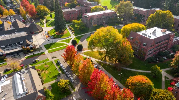 Campus in the fall