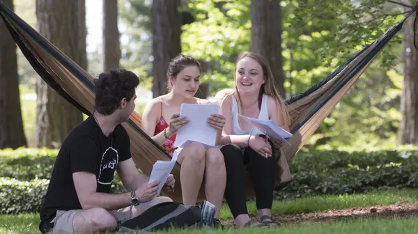 Students collaborate and visit in a hammock out in the trees around campus.