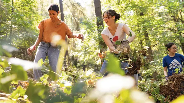 Students walking among forest area