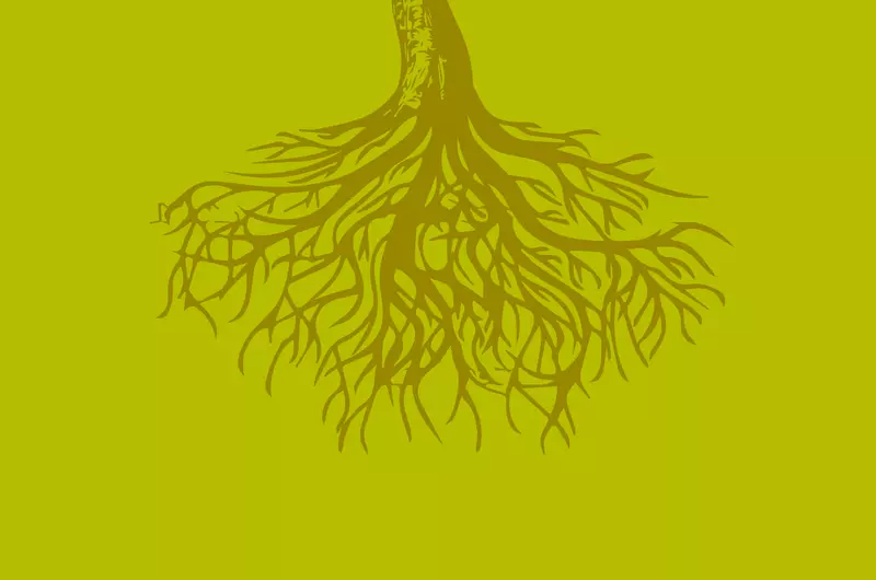 Grow Core Curriculum tree roots