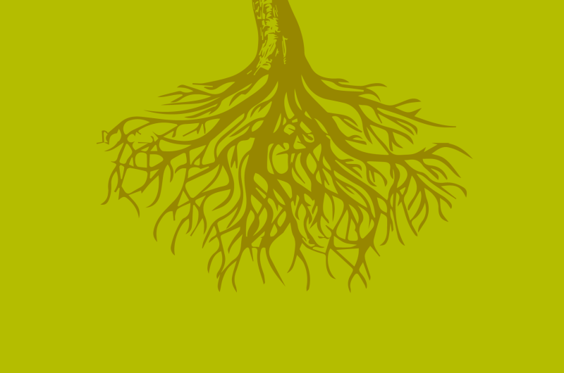 Grow Core Curriculum tree roots
