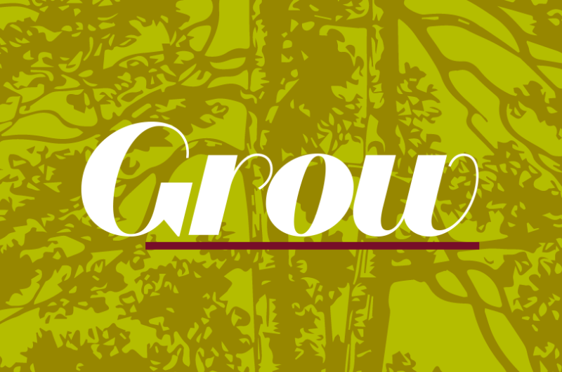 Grow Core Curriculum graphic