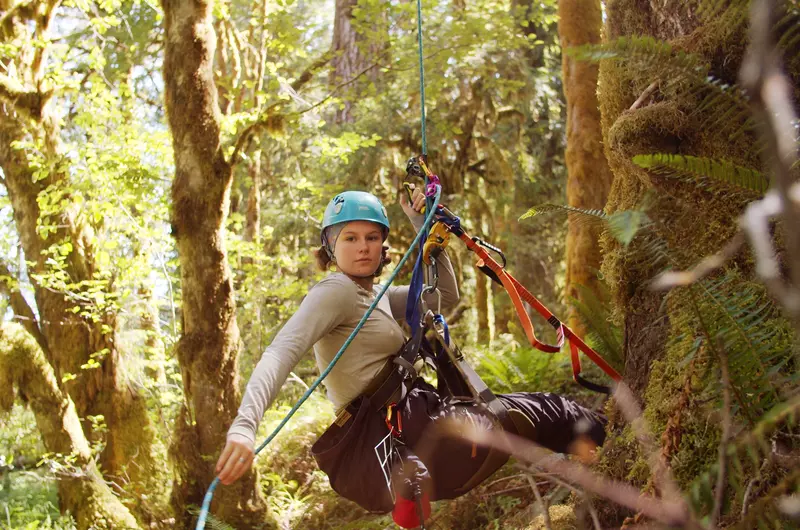 A student conducts research in the forest.