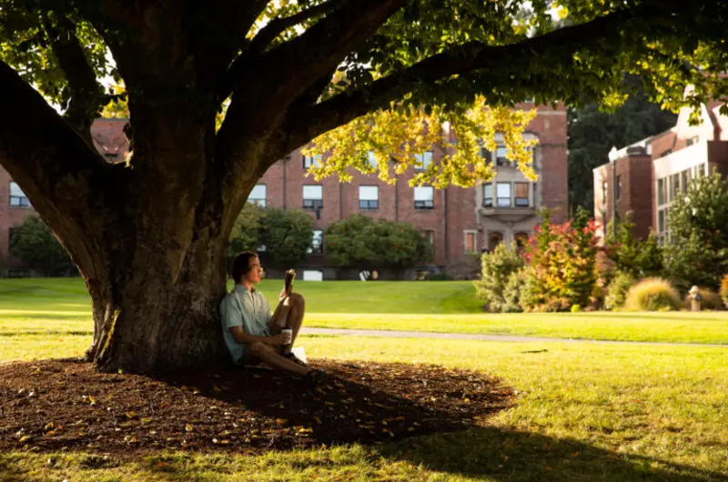 A student leaning against the trunk of a tree on campus