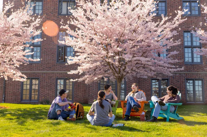 spring_campus_life_cherry_blossoms_2024-178