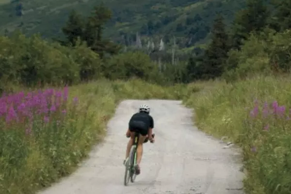 Person riding a bike on beautiful mountain path surrounded by wildflowers