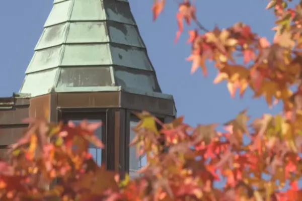 Fall trees and rooftop tower skyline view