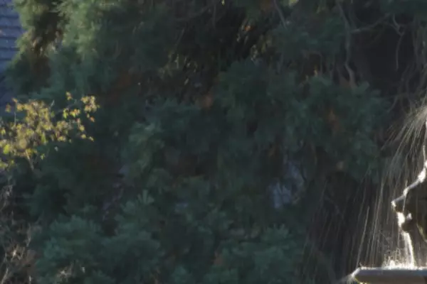 Fountain with trees and building behind