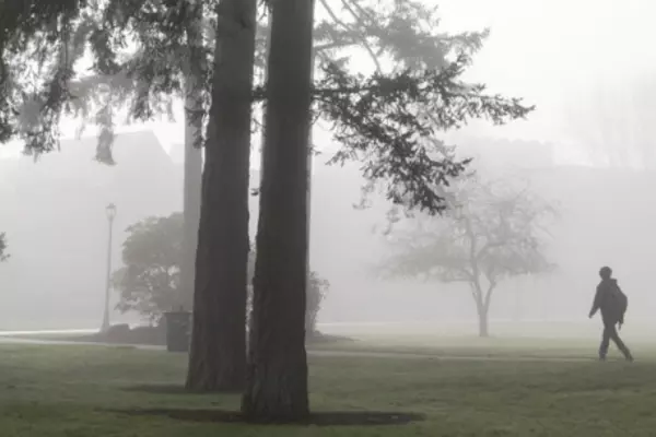 Person walking along a path on a foggy day