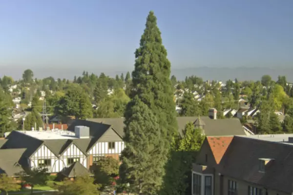 Suburban landscape with mountain in the background
