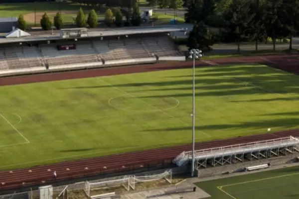 soccer pitch