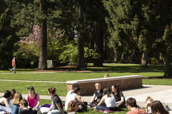 students on green grass