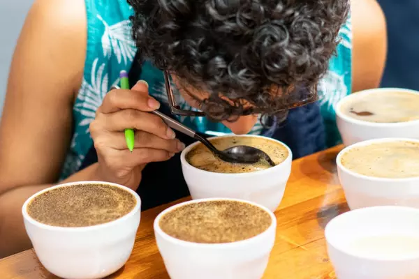 Brew Master - Madeleine Longoria Garcia ’13 Banner