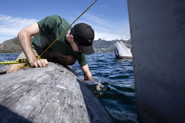 Learning From Destruction Banner