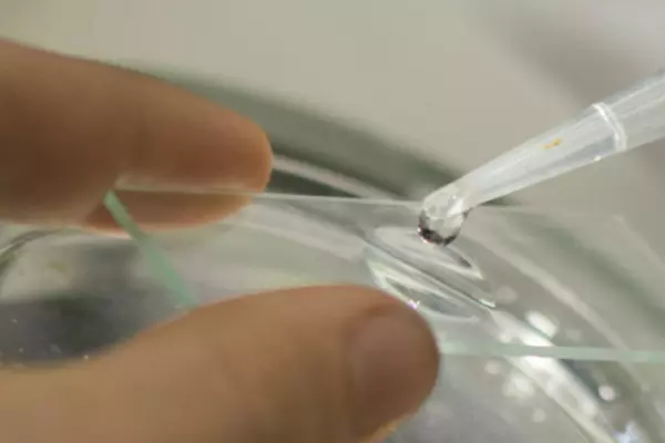 Fluid dropper on a microscope slide