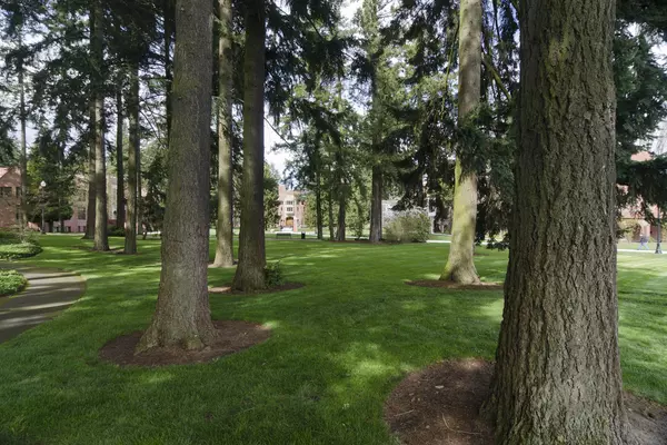 Green grass and trees in front of campus buildings