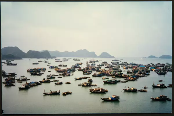 Small fishing boats anchored in harbor