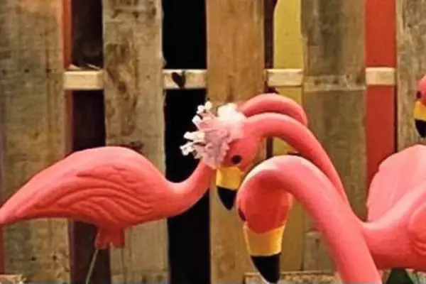 Part of Alex Kaufman's comedy set