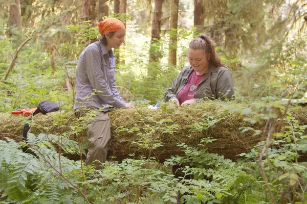 Ellie Olpin ’24 and Reisha Foertsch ’25 collect seedling samples from nurse logs in the Hoh Rainforest in Washington’s Olympic National Park.