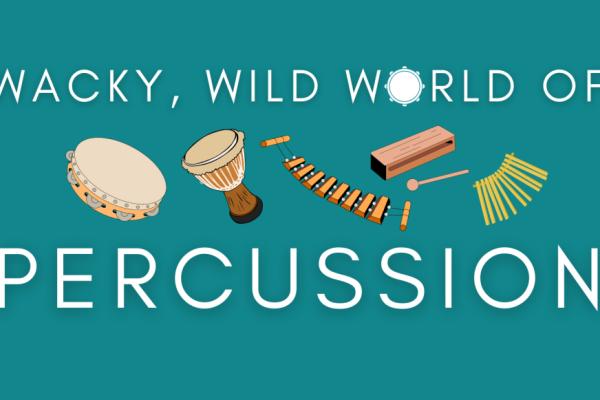 Wacky Wild World of Percussion