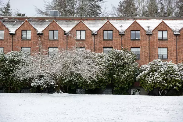 Red brick buildings covered in snow