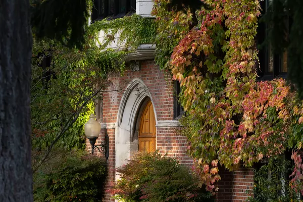 Campus building with fall foliage