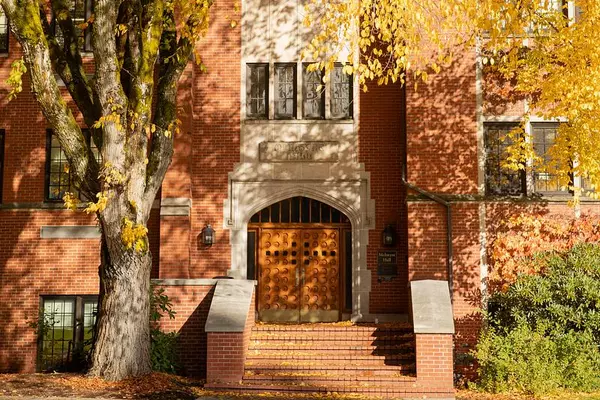 Yellow leaves hang off a branch with a red brick building in the background.