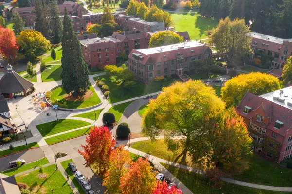 Fall leaves on campus as seen from above