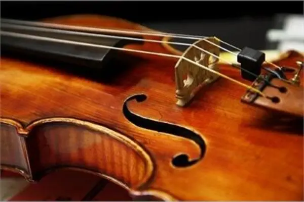 Violin_med_0.jpg