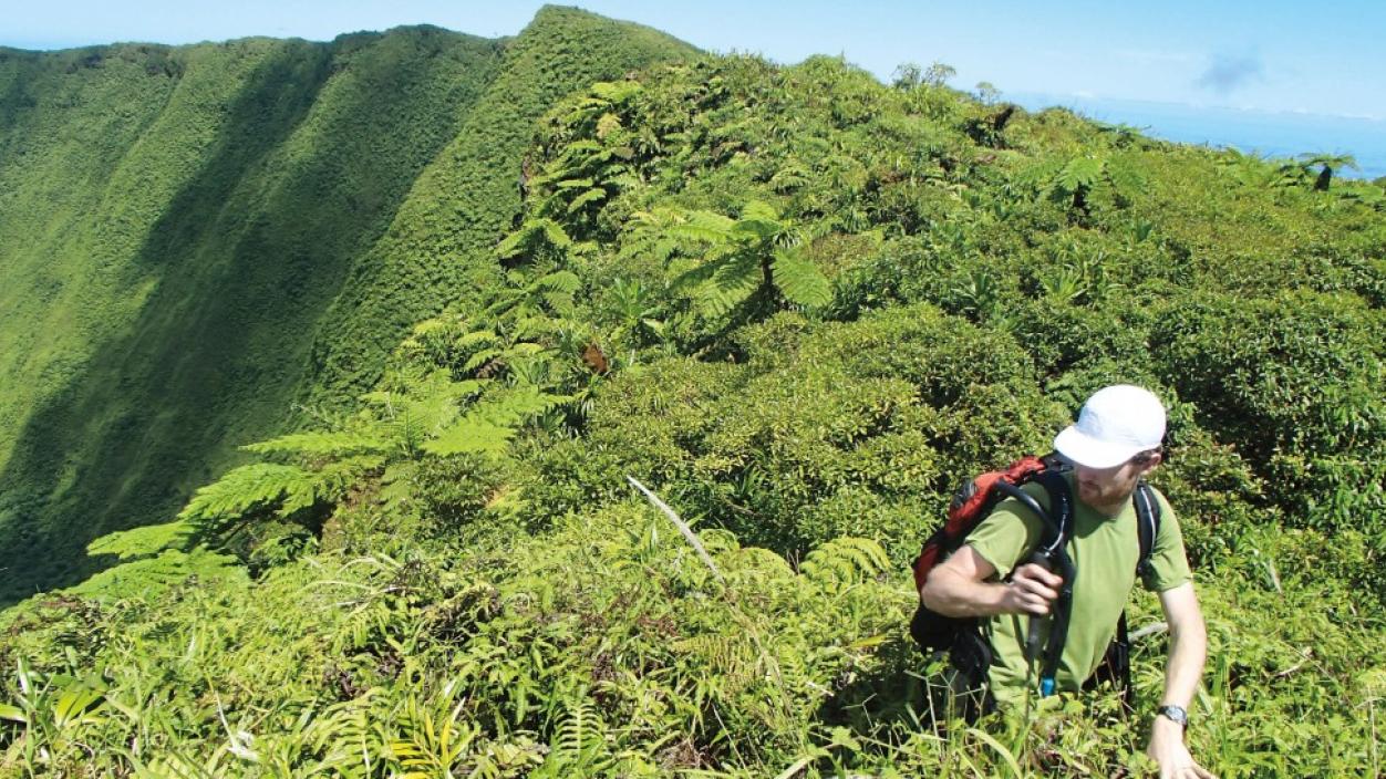 A person hiking on a lush green hilltop