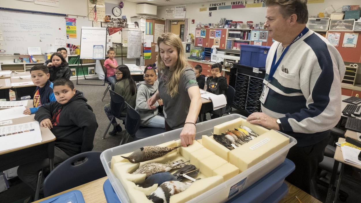 A person showing bird specimens to children in a classroom