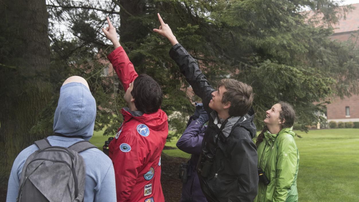 A group of people pointing up at a tree