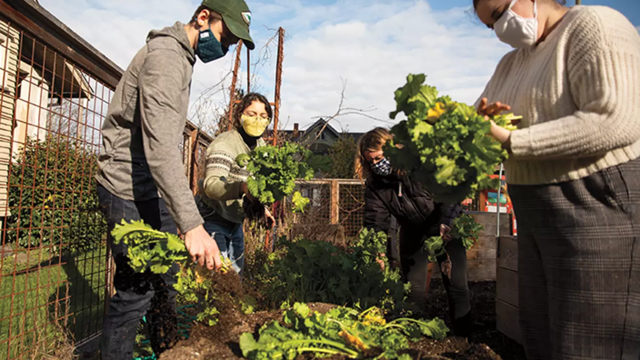 Students work in the Puget Sound Garden