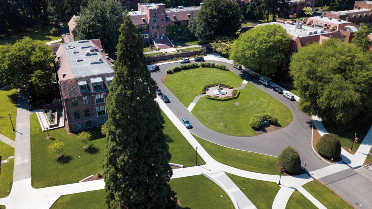 Aerial view of the giant sequoia on campus and Jones Circle