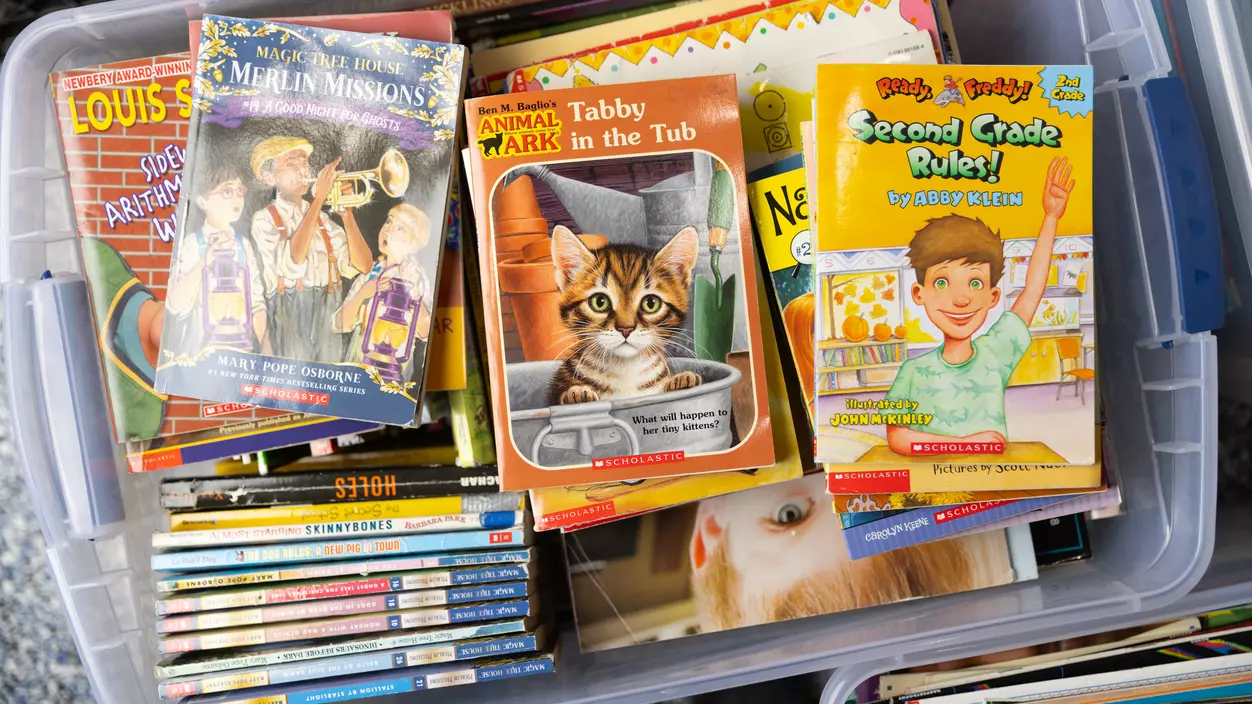 Some of the books Hurley Scholar Abi Longbottom ’26 has collected for schools in Kenya.