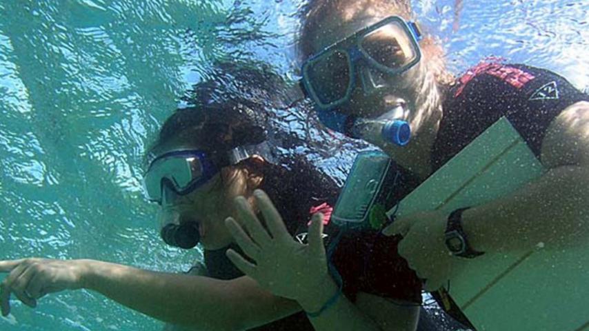 Students doing a field ecology course on the Great Barrier Reef, Australia, as part of their study abroad experience.